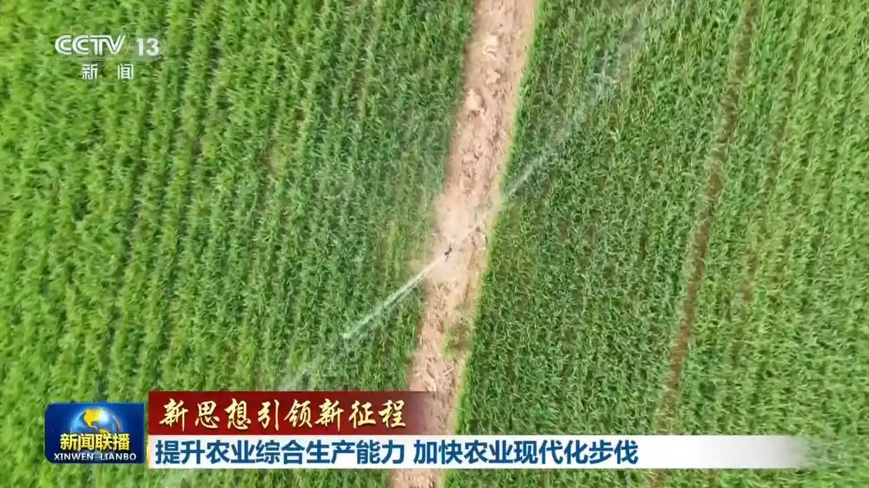 农业现代化_全国小麦收获进度已过七成_提升农业综合生产能力