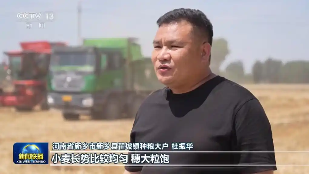 全国小麦收获进度已过七成_农业现代化_提升农业综合生产能力