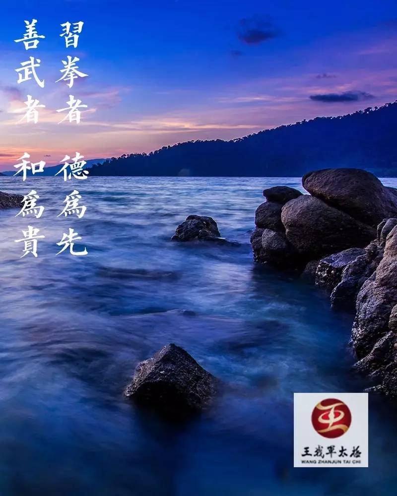 陈家沟太极拳历史传承_陈式太极拳新架一路陈小旺_陈照丕太极拳传播
