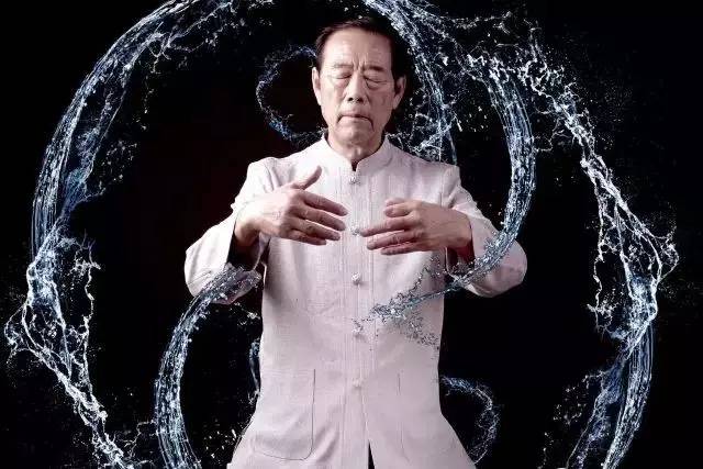 陈照丕太极拳传播_陈式太极拳新架一路陈小旺_陈家沟太极拳历史传承