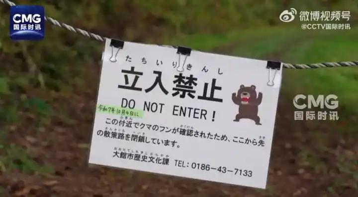 有现场出现明显的吃人痕迹!日本遭遇“熊害”,今年身亡人数创历史新高