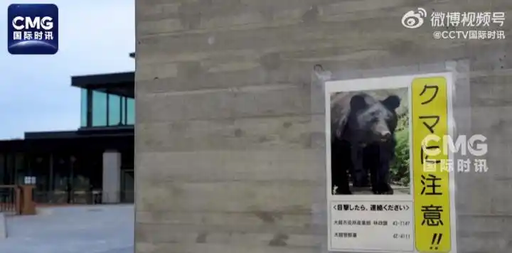 有现场出现明显的吃人痕迹!日本遭遇“熊害”,今年身亡人数创历史新高