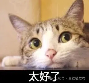 详细阅读:注意!景德镇气温将坐“过山车”! 注意!景德镇气温将坐“过山车”!