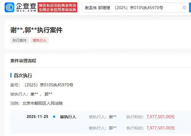 嘎子哥被执行人信息_“嘎子”谢孟伟夫妇再被执行797万_谢孟伟穿警服直播带货被封禁