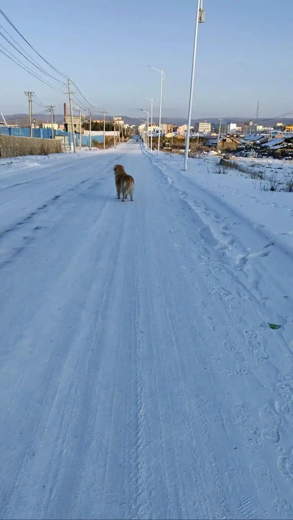 中国冷极冬季生活指南_呼伦贝尔每年都有-40℃ 阳台当冰箱_内蒙古根河零下40度生活体验