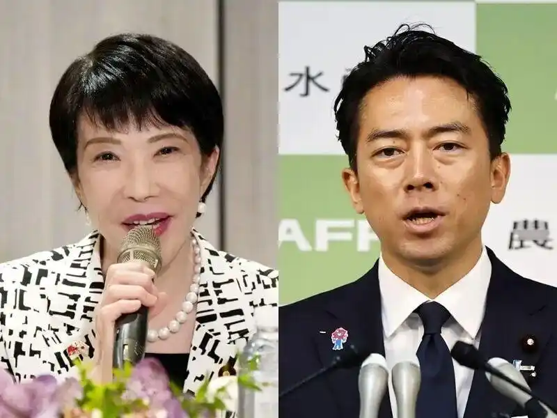 日本执政党自民党举行总裁选举，高市早苗当选或成首位女首相