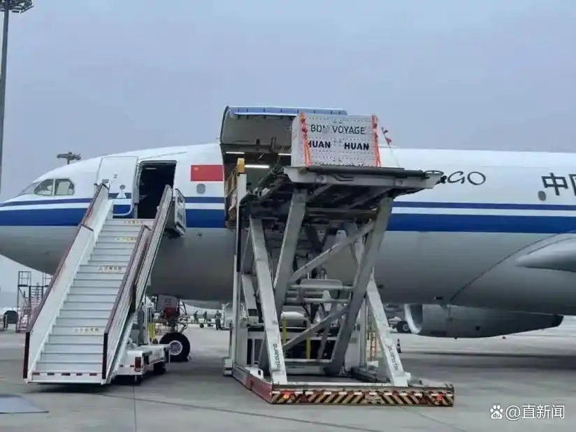 法国总统马克龙成都访问_马克龙访华第二站除了熊猫还有啥_中法熊猫外交合作