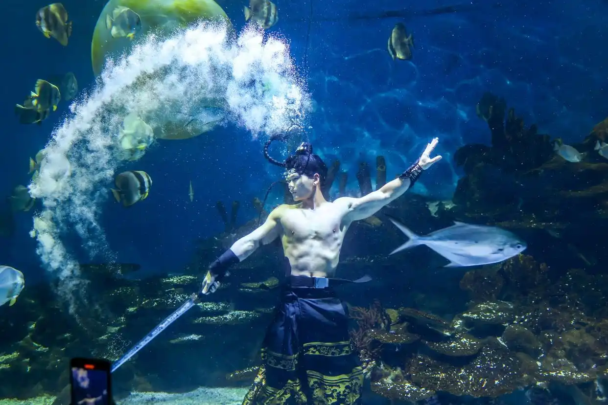 10月4日武汉极地海洋度假区：水下吴刚舞剑，嫦娥奔月引游客拍照