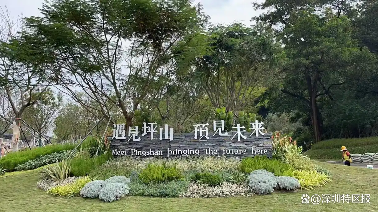 带你打卡十五运场馆_艺术体操赛事体验_十五运坪山赛区