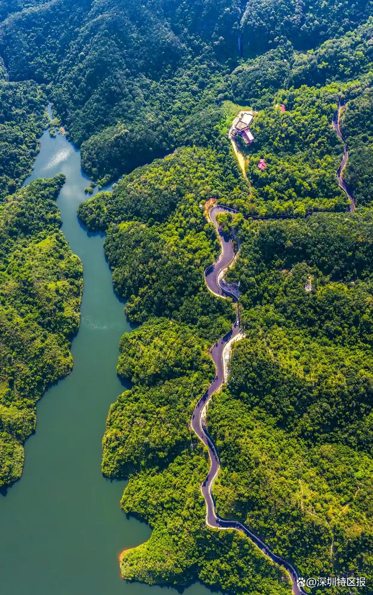 艺术体操赛事体验_带你打卡十五运场馆_十五运坪山赛区