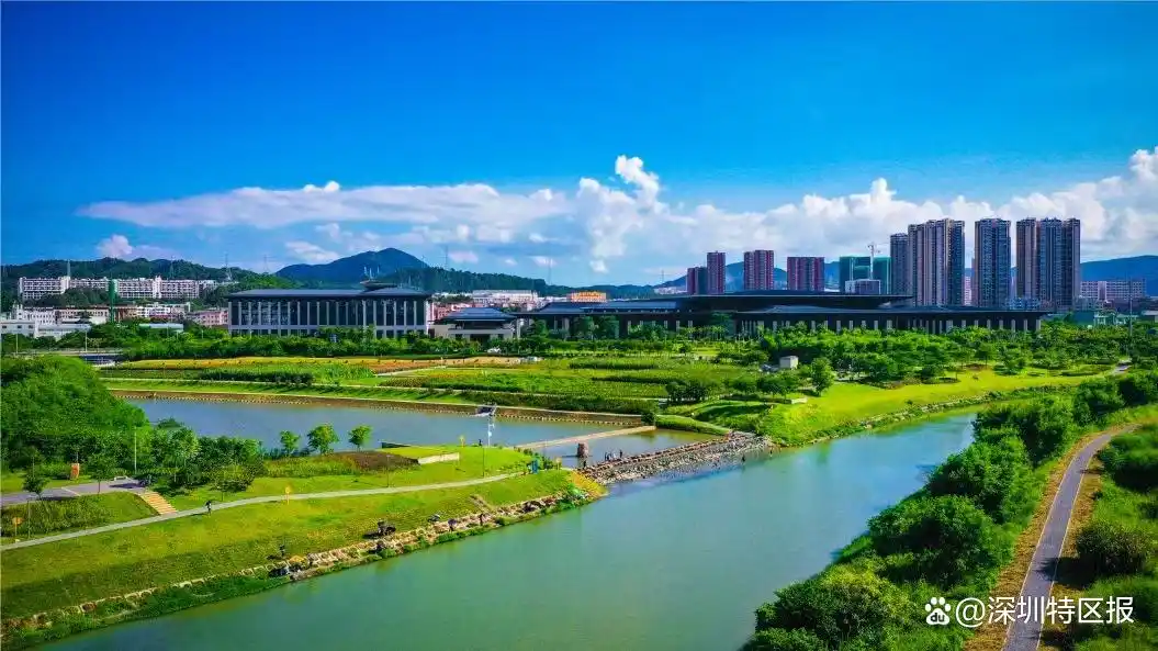 艺术体操赛事体验_带你打卡十五运场馆_十五运坪山赛区