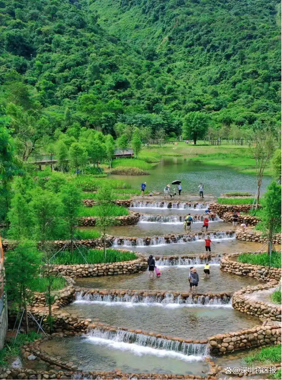 带你打卡十五运场馆_十五运坪山赛区_艺术体操赛事体验