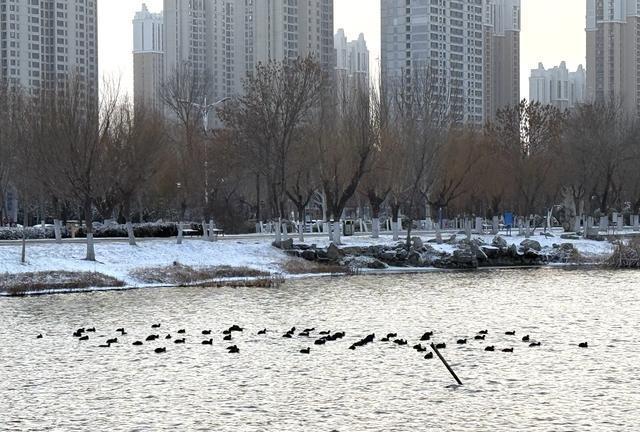 立冬有啥习俗？别只知道吃饺子、涮羊肉 温情回忆里的立冬味道