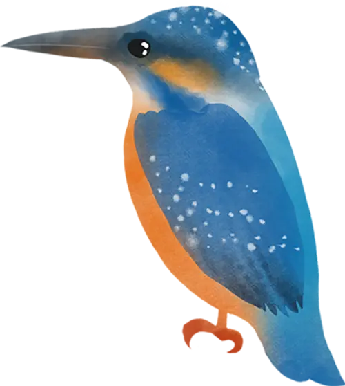 大雪节气习俗_大雪节气三候_大雪节气为啥要喝红薯粥