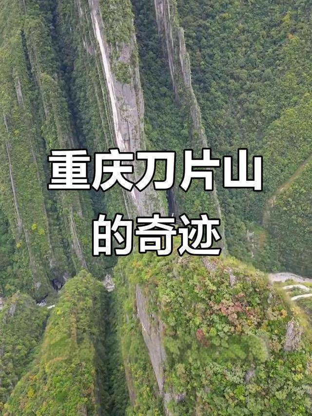 男子疑玩手机坠崖 事后发文福大命大 山神眷顾奇迹生还