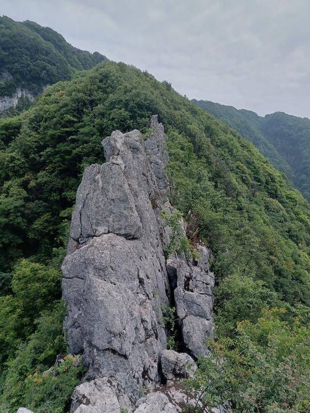 男子疑玩手机坠崖 事后发文福大命大 山神眷顾奇迹生还