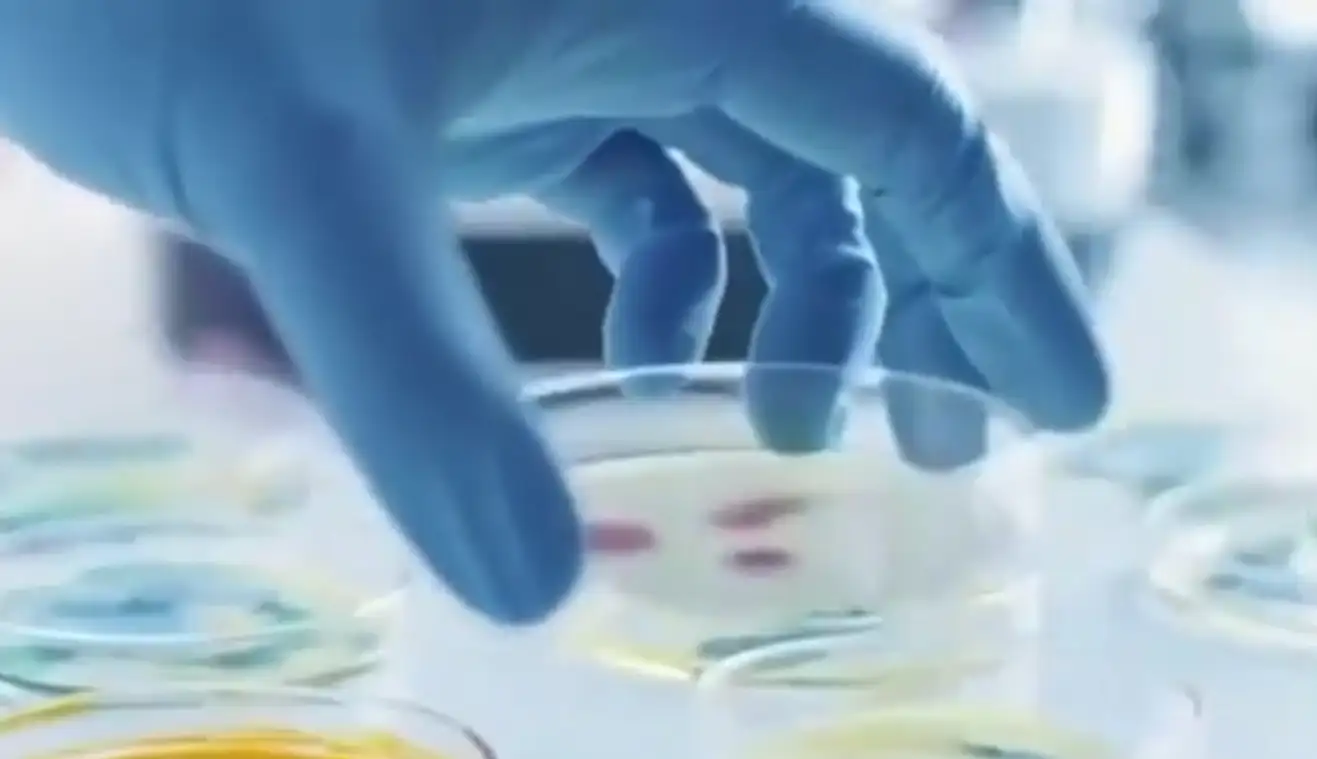 缅甸政府将拆除kk园区148栋建筑_缅甸KK园区拆除_超强抗生素新发现