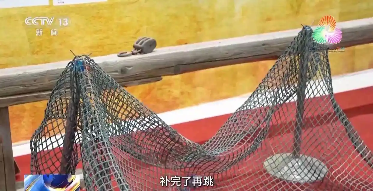 跳水“冠军摇篮”为何是湛江？_湛江跳水训练基地_湛江跳水选苗体系