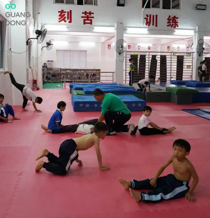 广东跳水强省_跳水“冠军摇篮”为何是湛江?_湛江市跳水运动学校