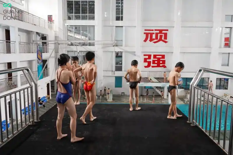 广东跳水强省_湛江市跳水运动学校_跳水“冠军摇篮”为何是湛江?