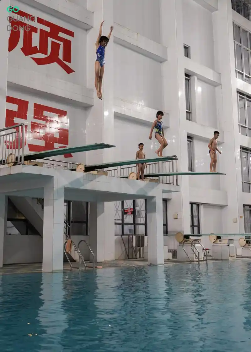 跳水“冠军摇篮”为何是湛江?_广东跳水强省_湛江市跳水运动学校