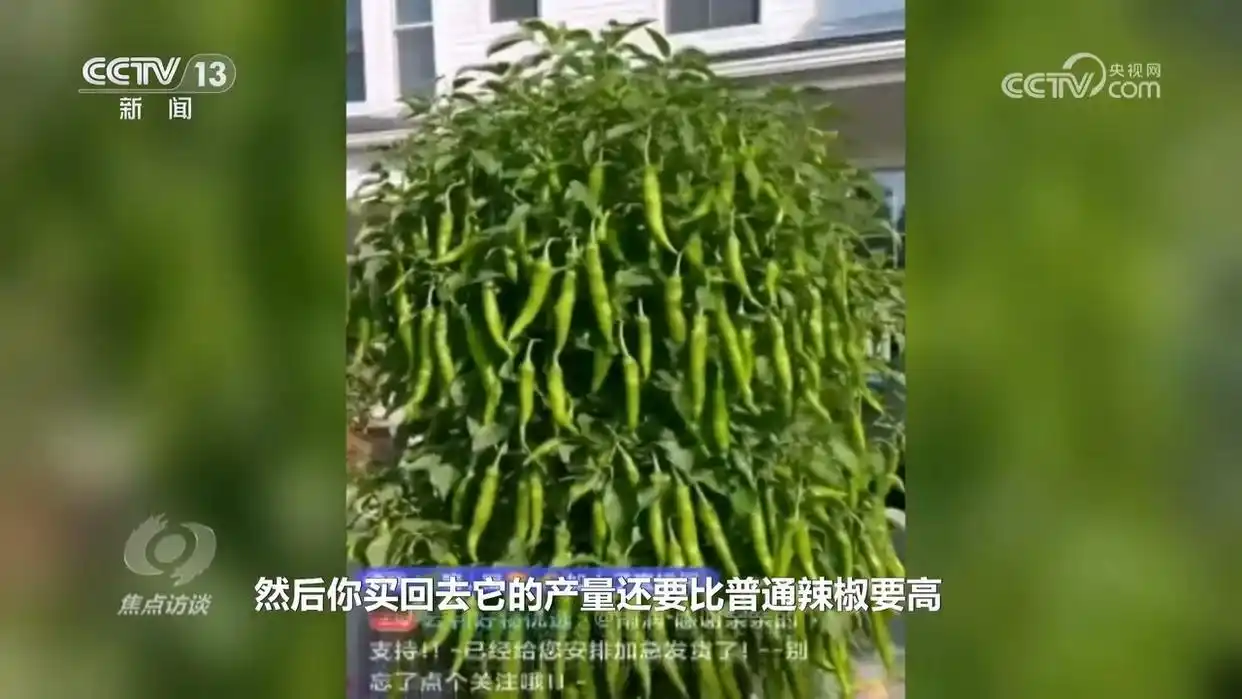短视频或直播购物兴起，警惕！AI 仿冒带货拷问数字治理能力