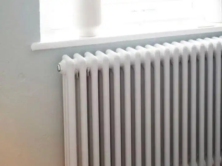 习近平同科摩罗总统阿扎利就中科建交50周年互致贺电_习近平复信青年汉学家_习近平复信青年汉学家