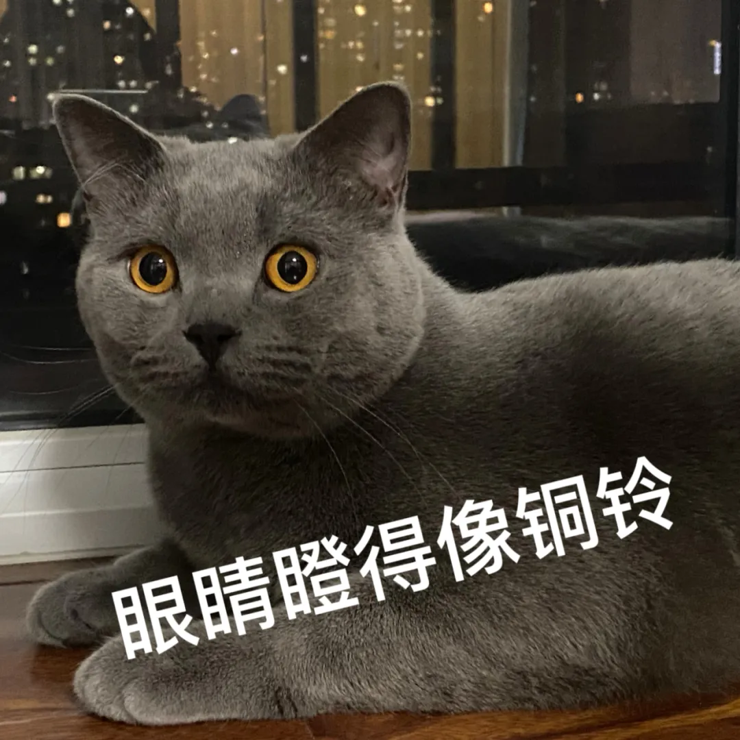 子女改随母姓拒付抚养费_离婚后孩子随母姓 男方拒付抚养费_离婚后抚养费纠纷