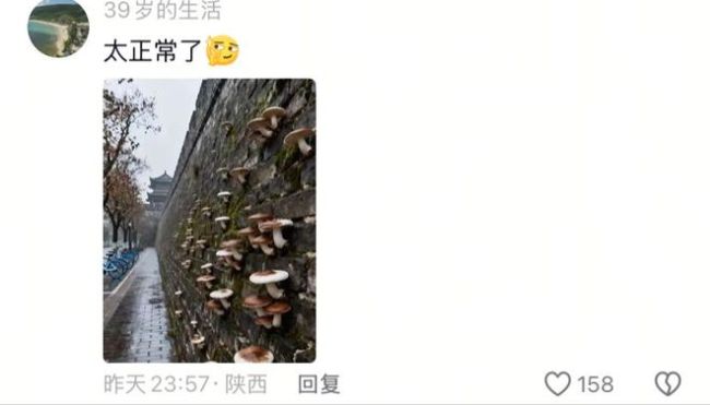 南方梅雨季核桃发芽引热议！网友调侃后续，懂行的这样说？