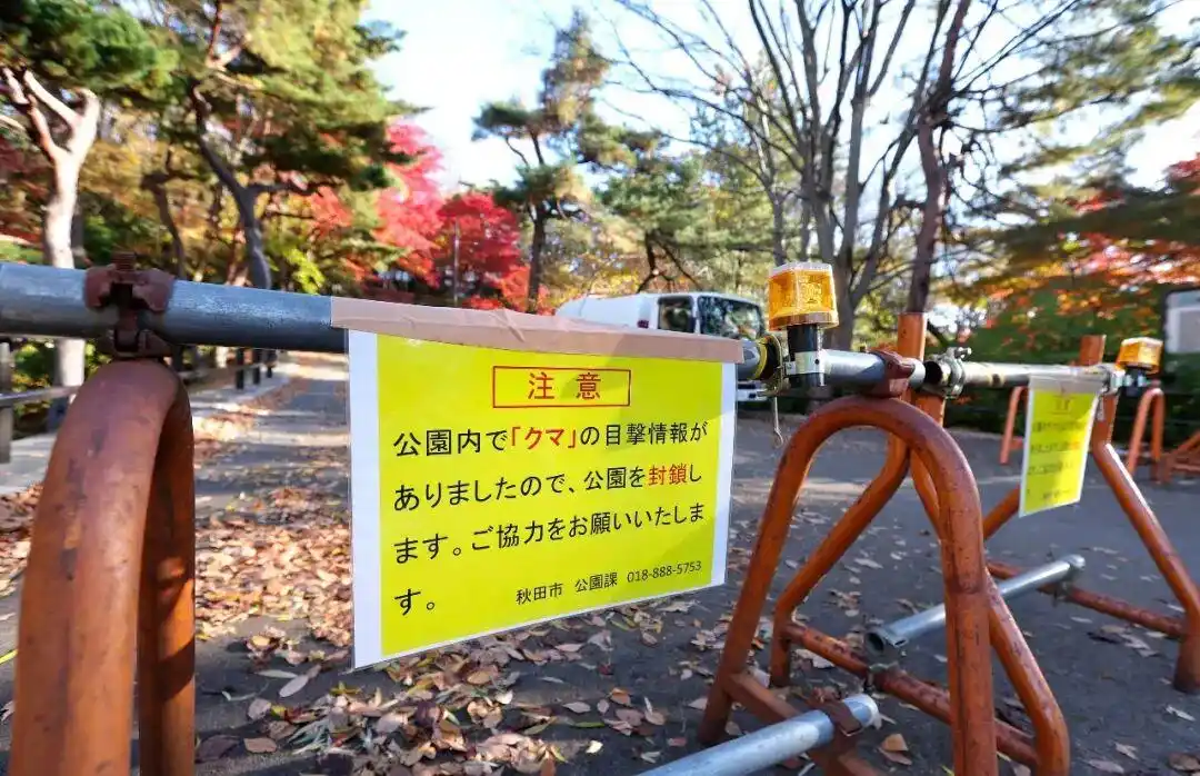 日本猎人职业_中国90后在闹熊灾的日本当全职猎人_日本熊灾