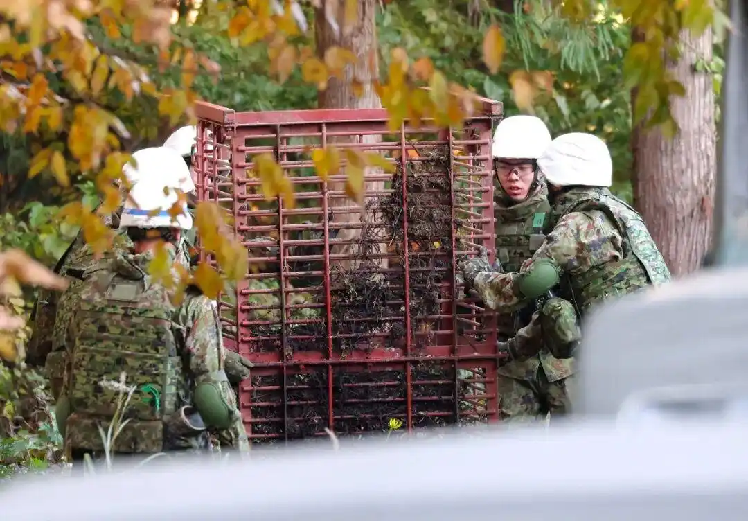 中国90后在闹熊灾的日本当全职猎人_日本熊灾_日本猎人职业
