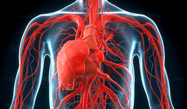 早上跑步空腹可以吗_规律晨跑改善精神状态_每天早上坚持跑步增强免疫力