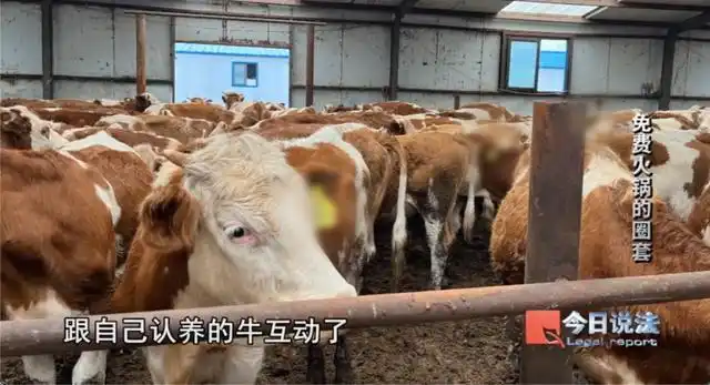 免费火锅骗走600多人约4200万,为啥专坑中老年人?