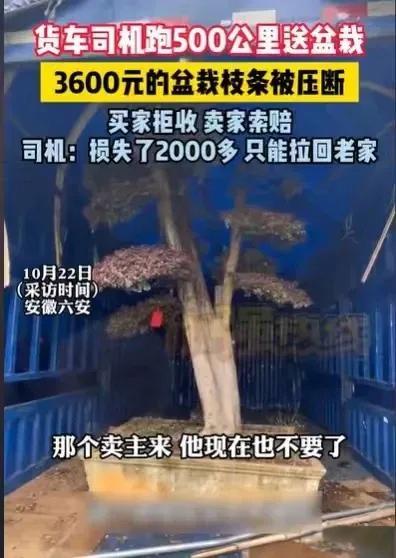 司机跑500公里送盆栽遭拒收索赔 运货变赔钱窘境 司机跑500公里送盆栽遭拒收索赔 运货变赔钱窘境