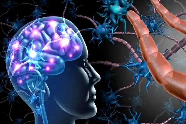 175shuaijiao体重_175身高体重对照表_175cm男人体重标准范围