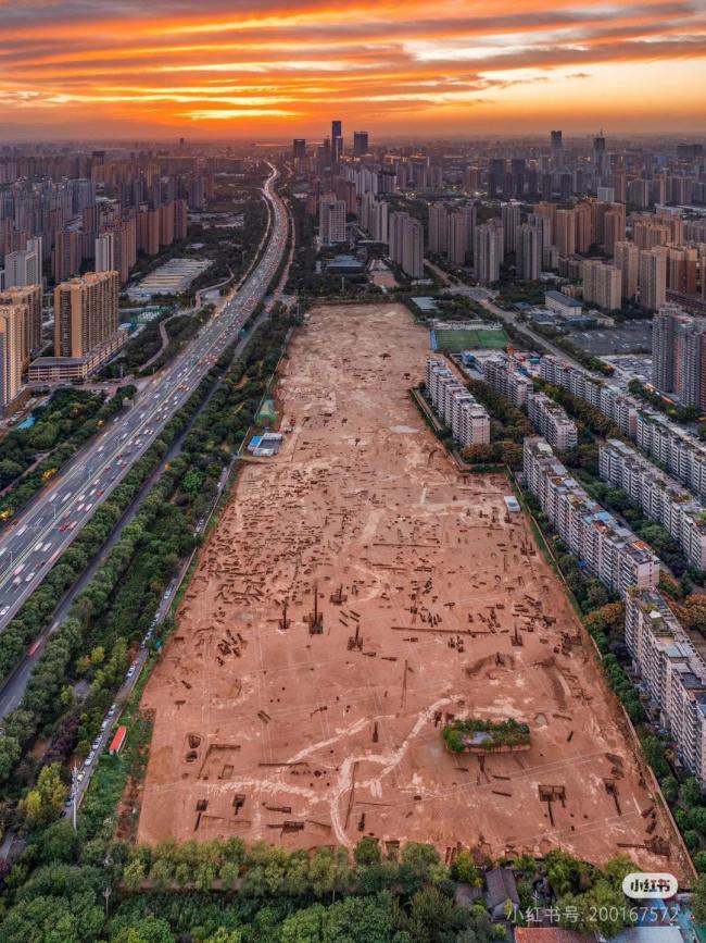 西安连日阴雨市民称古墓变森林 雨水催生草木茂盛
