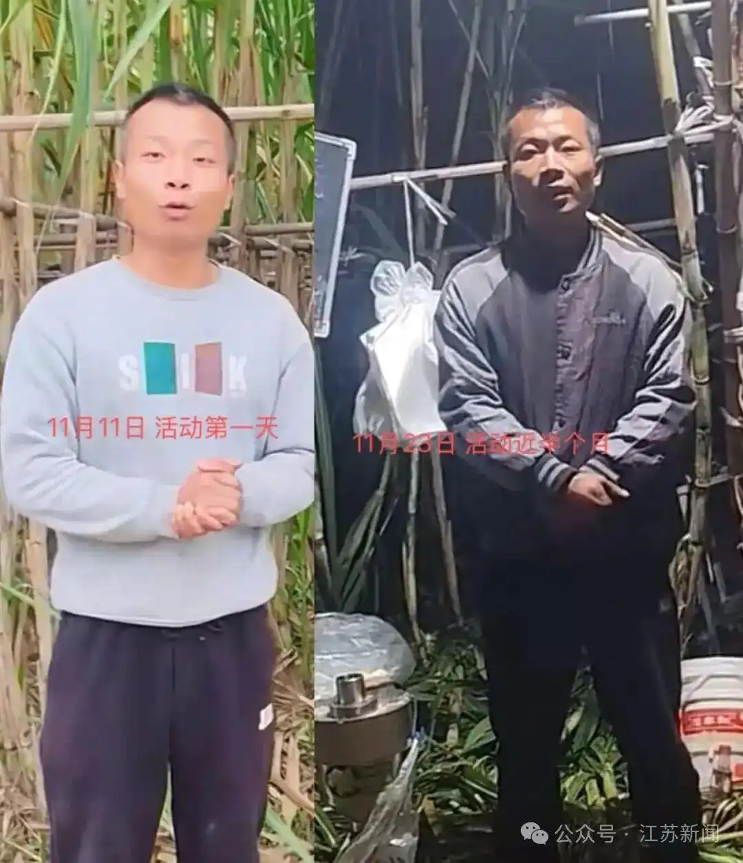 眉山自助偷甘蔗活动_航拍万人涌入地里“偷甘蔗”_四川眉山真人偷甘蔗体验区