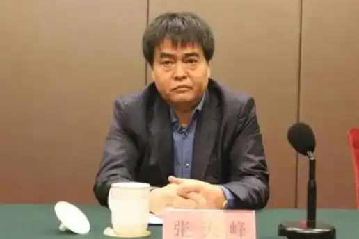 打“虎”!重庆市副市长江敦涛被查