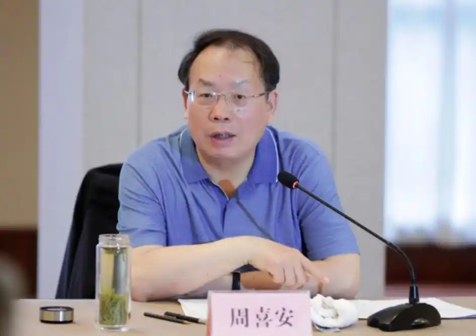 打“虎”!重庆市副市长江敦涛被查