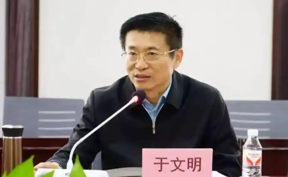 打“虎”!重庆市副市长江敦涛被查