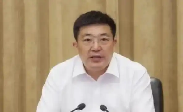 打“虎”!重庆市副市长江敦涛被查