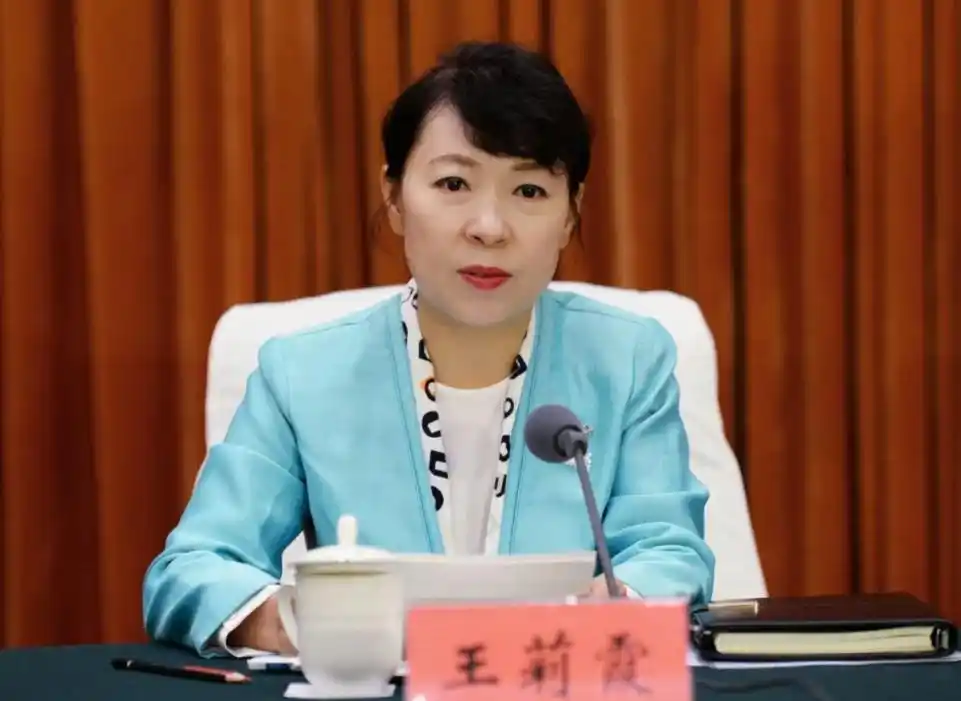 打“虎”!重庆市副市长江敦涛被查