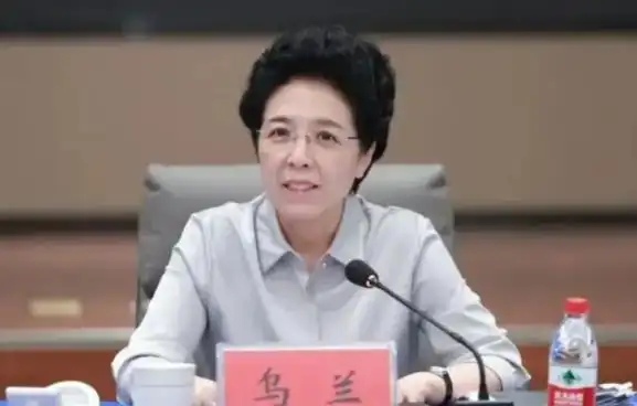 打“虎”!重庆市副市长江敦涛被查