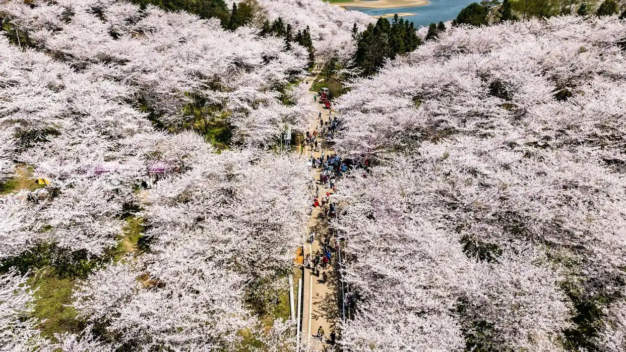 中国经济热词图鉴_人工智能大模型具身突破_中国经济高质量发展