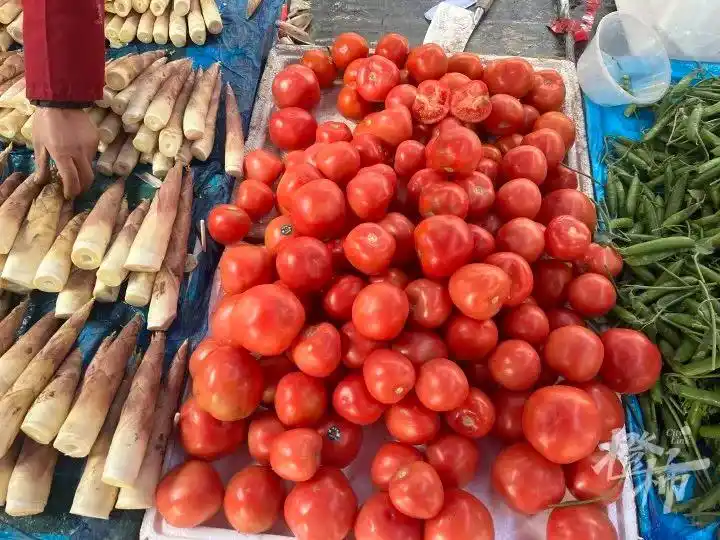 鸡蛋都快配不上番茄了_鸡蛋配不上番茄_西红柿价格飙升