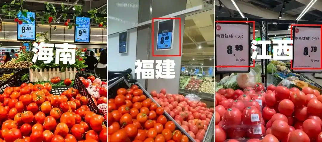 鸡蛋都快配不上番茄了_鸡蛋配不上番茄_西红柿价格飙升