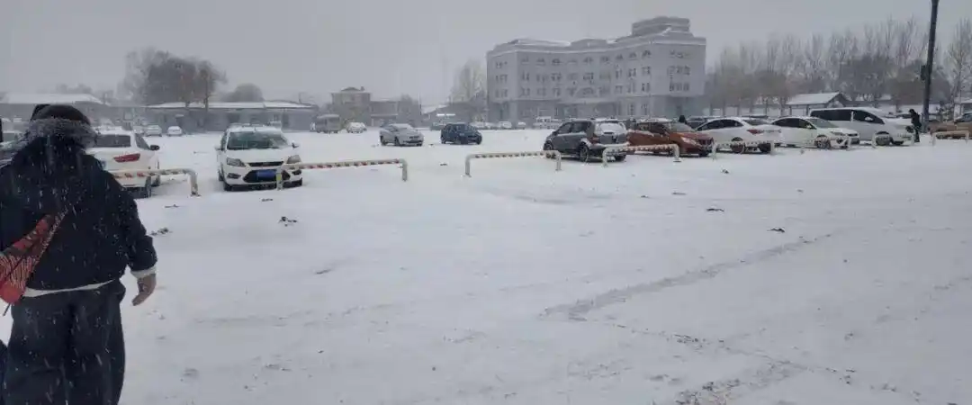 社交平台求助信引发关注_哈尔滨网友送奶奶最后一程_奶奶喜丧 女子因朋友少求助网友