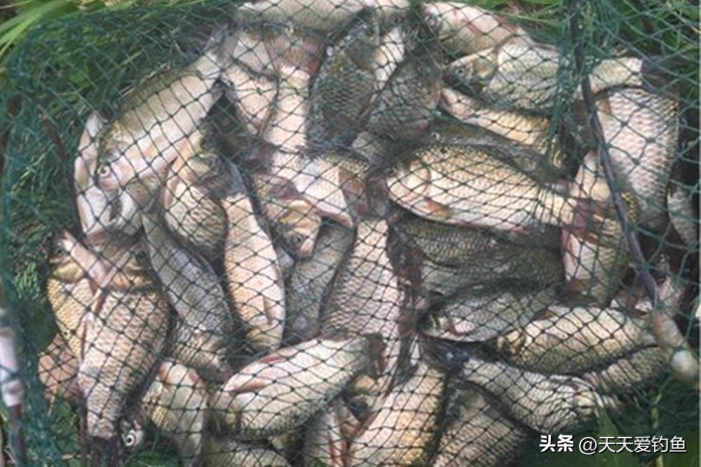 4种调漂方法对比：两种简单常用，一种最万能