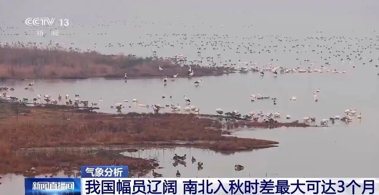 多地秋天“迟到早退” 秋季为何越来越短了?