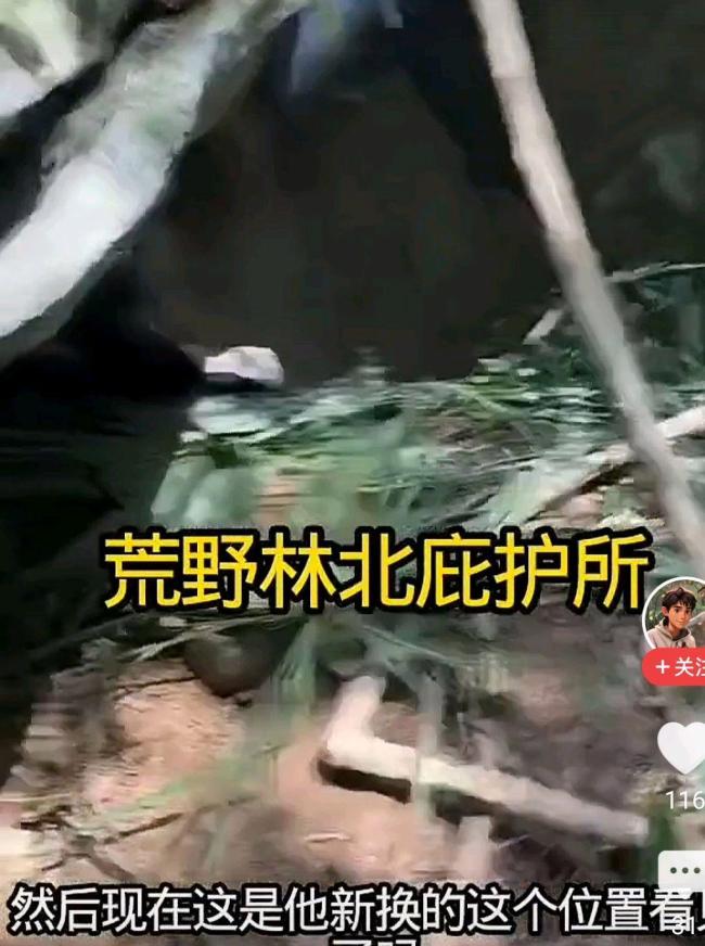 荒野求生决赛5天林北换3处庇护所 生存挑战重重